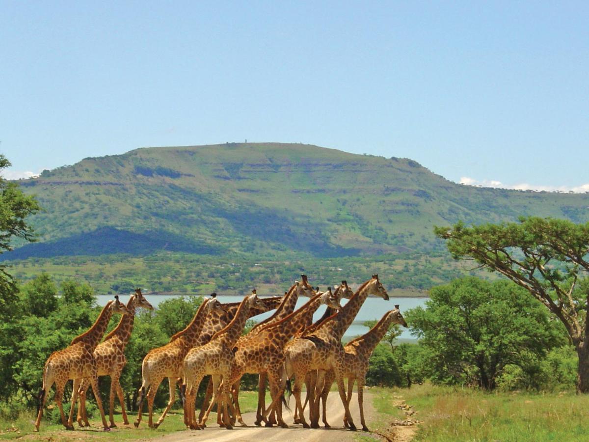 Spion Kop Lodge Уинтертон Экстерьер фото