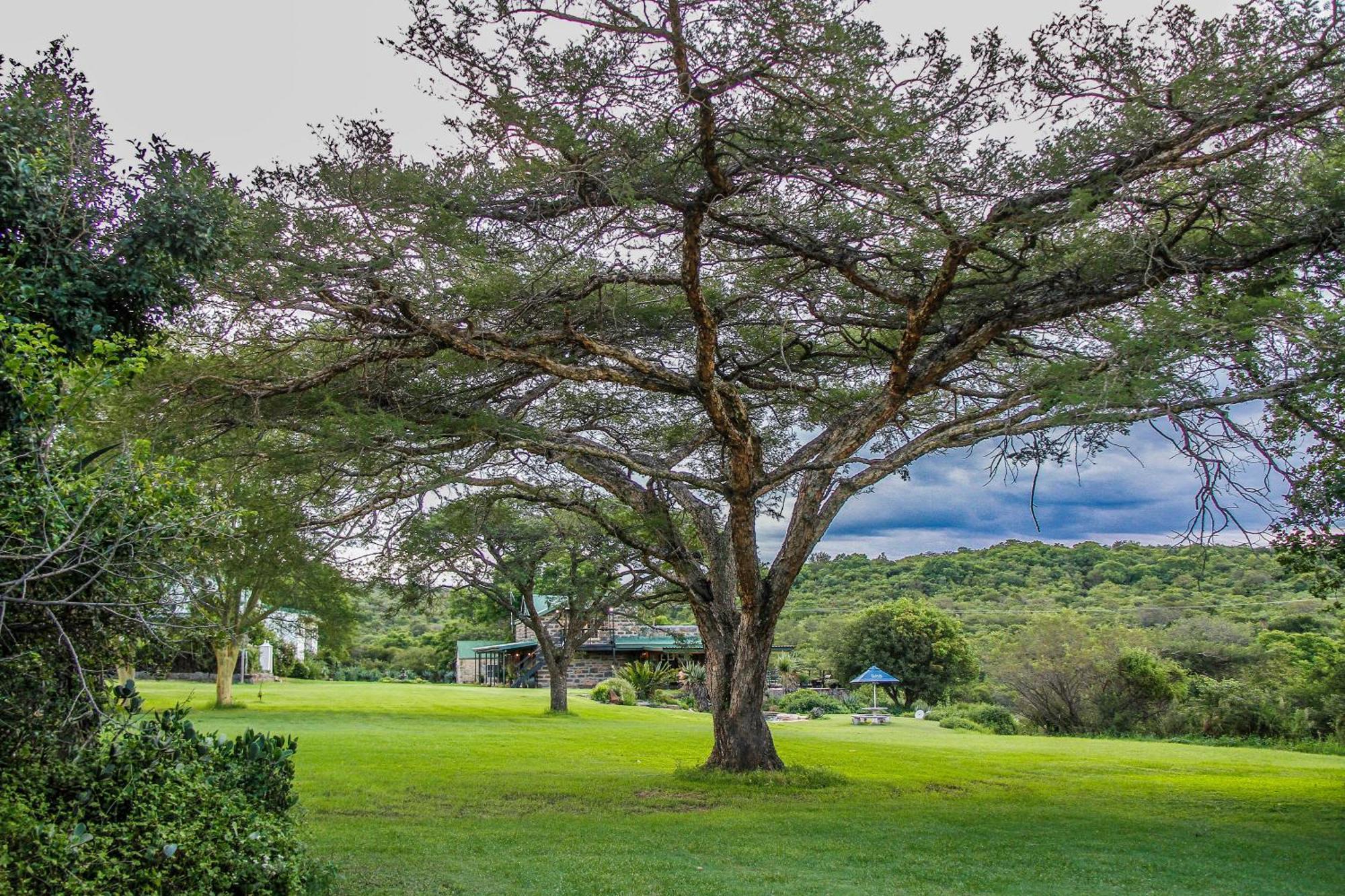 Spion Kop Lodge Уинтертон Экстерьер фото