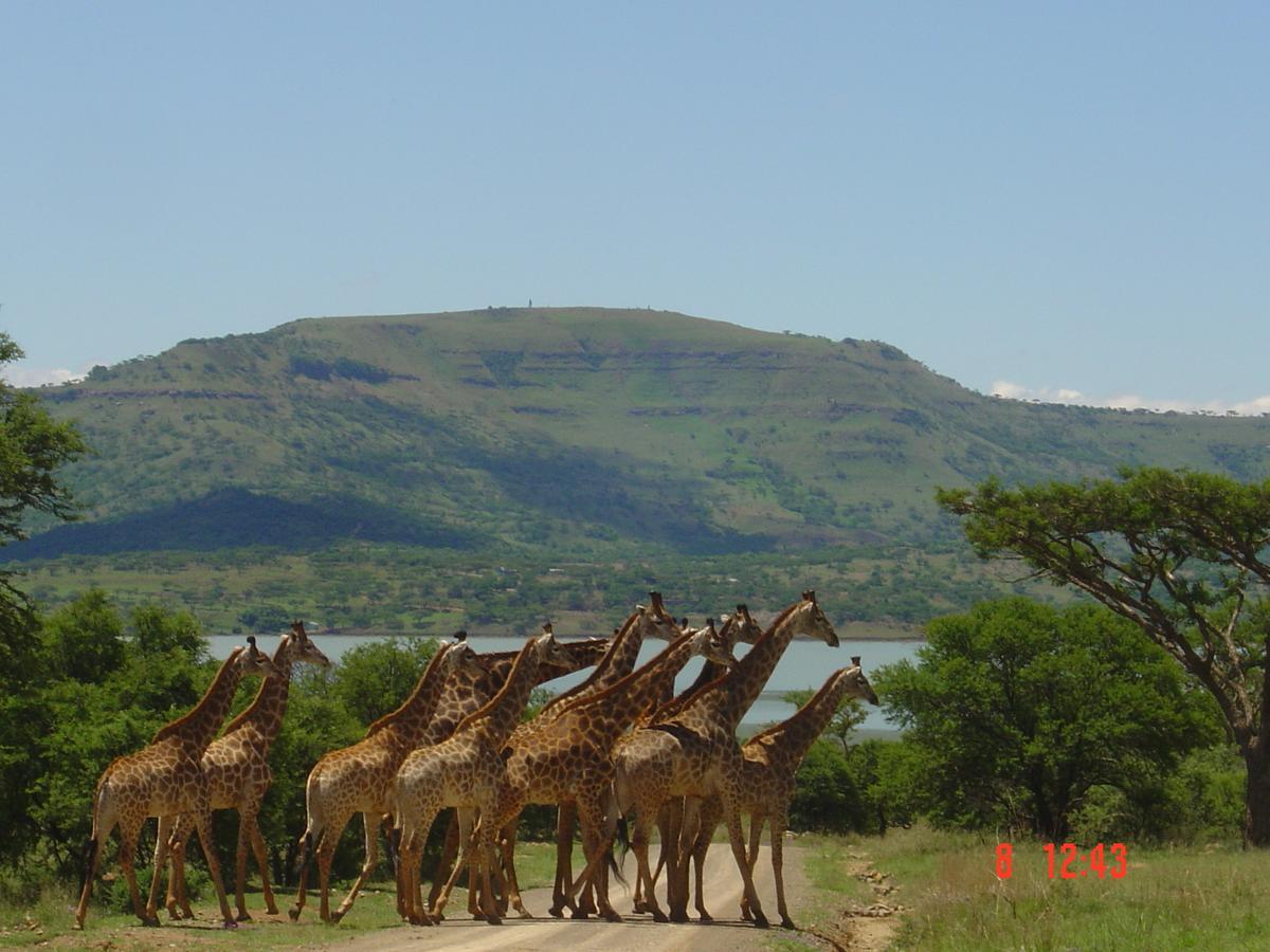 Spion Kop Lodge Уинтертон Экстерьер фото